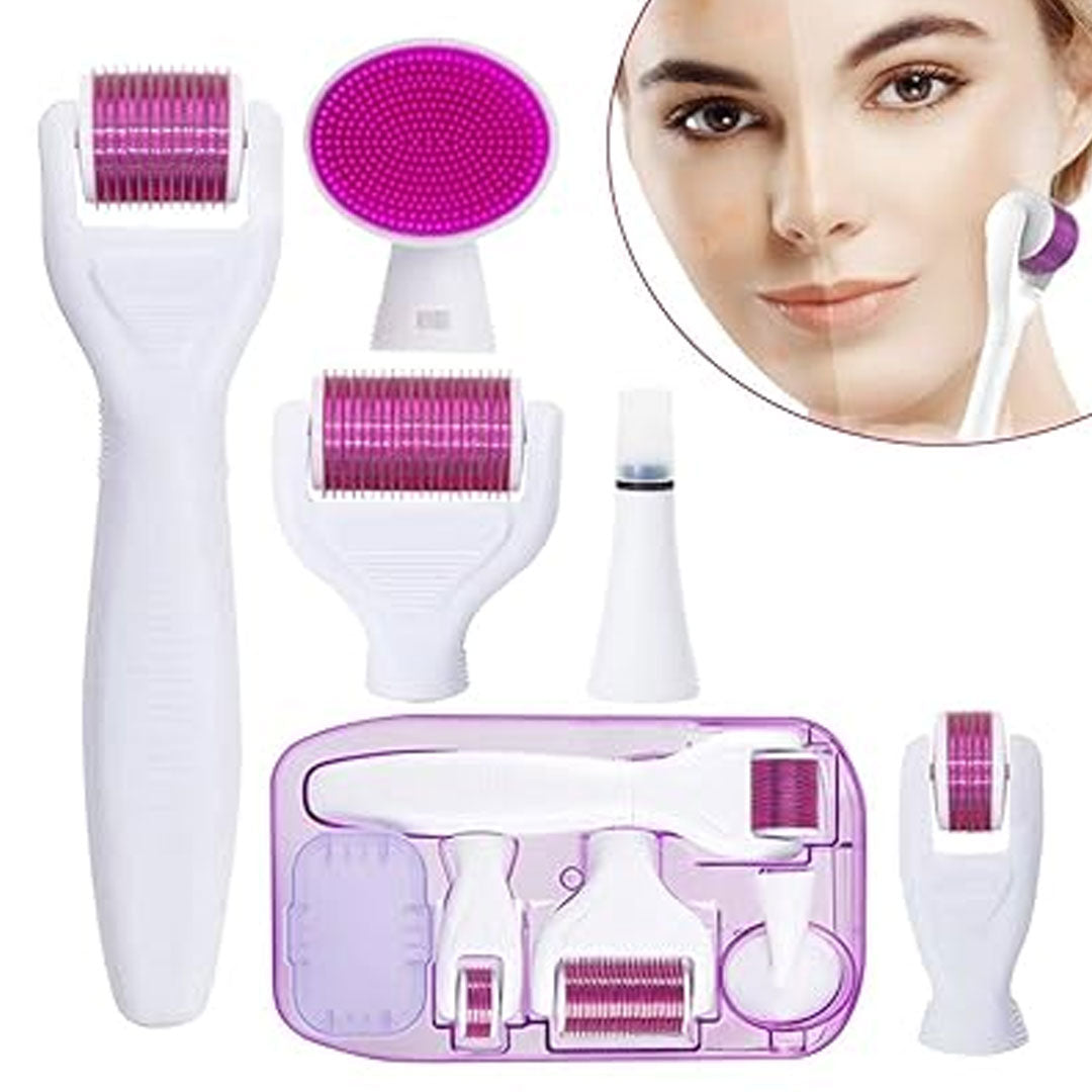 6 In 1 Derma Roller